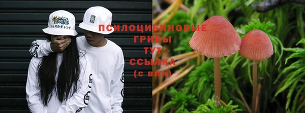 соль курить ск Рославль